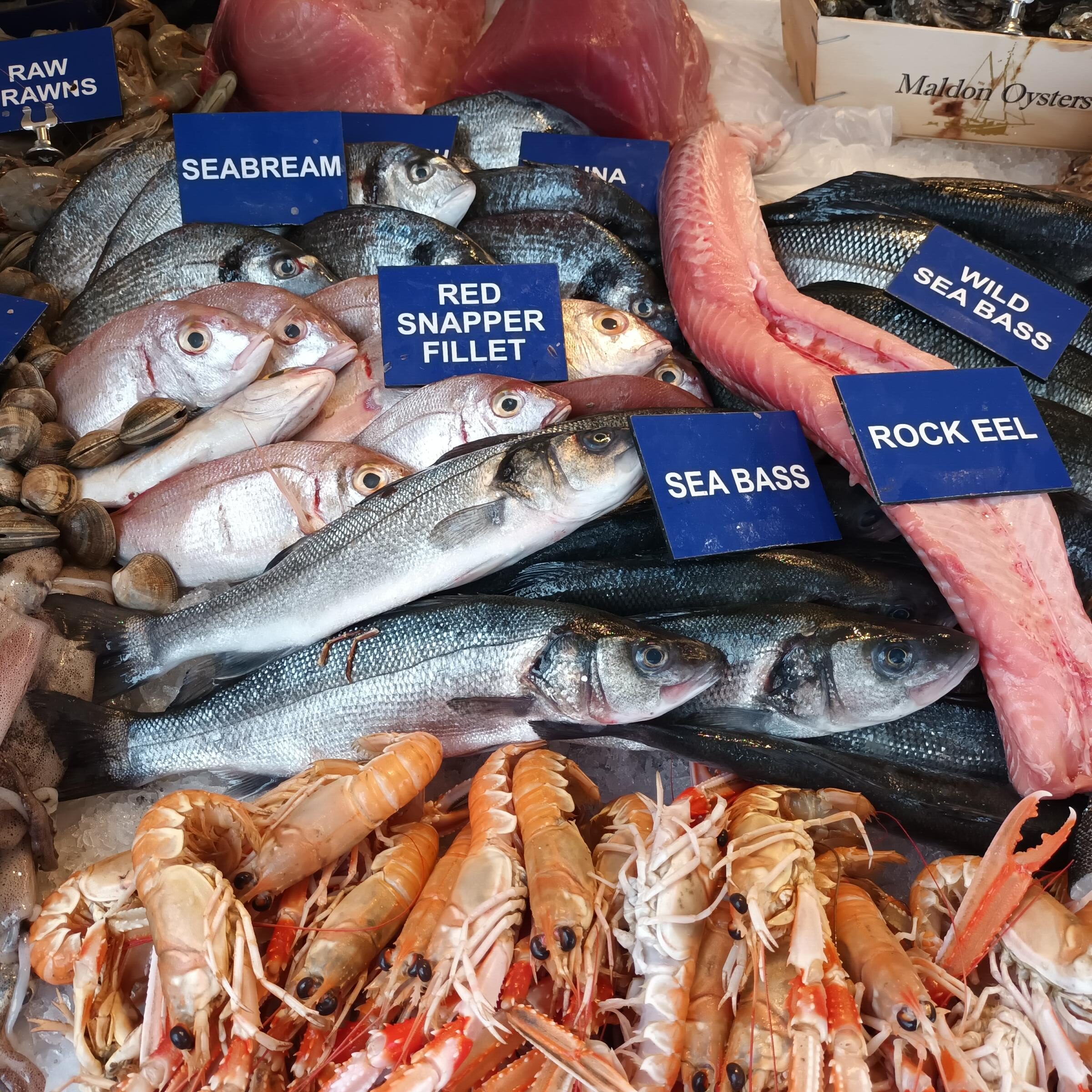 Fresh fish and crustacean