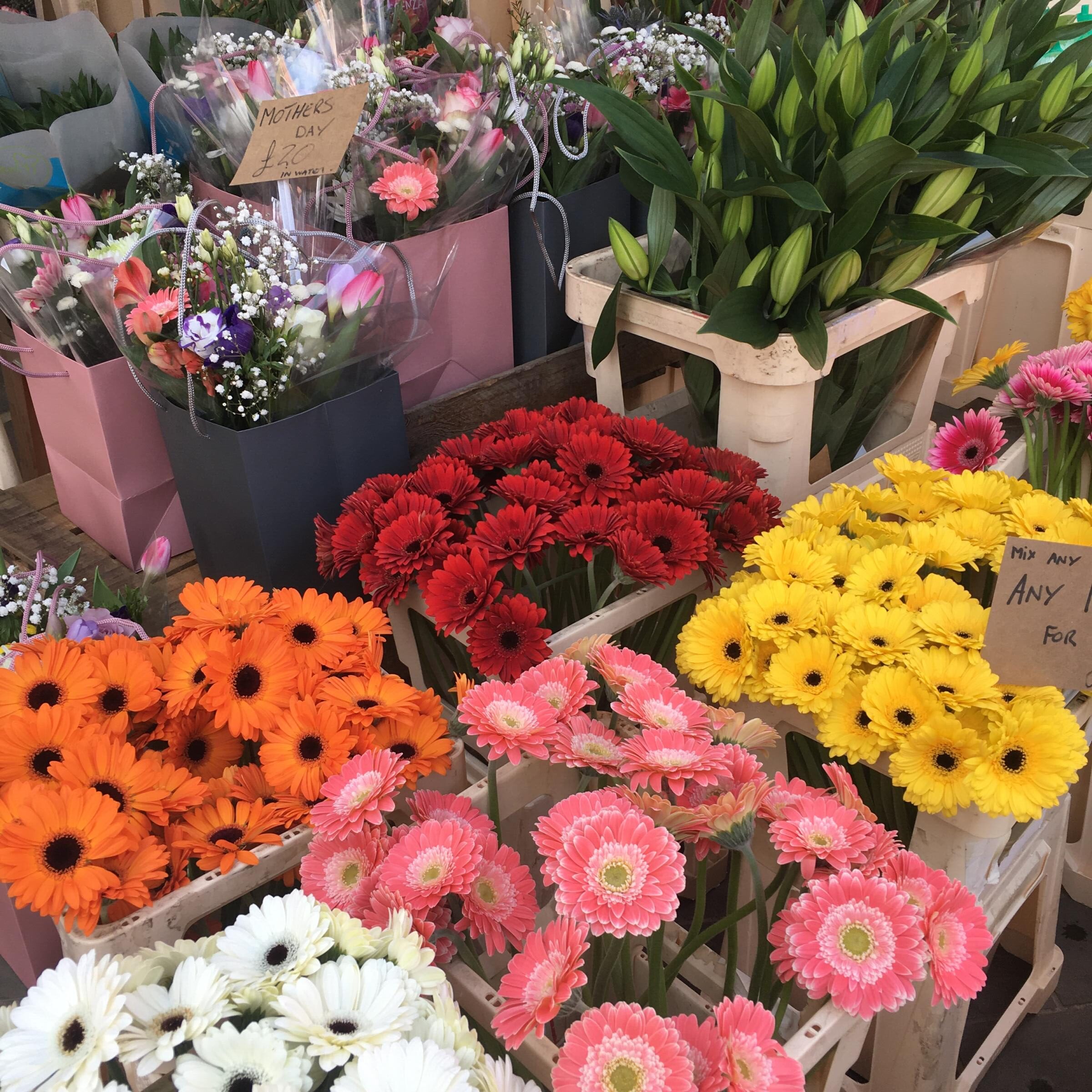 Tubs of gerberas and lillies