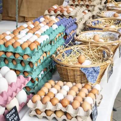 Trays of fresh eggs