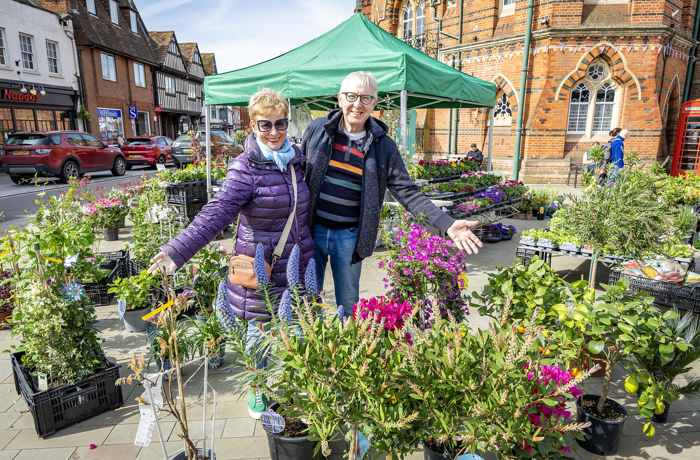 Two traders surrounded by potted plants